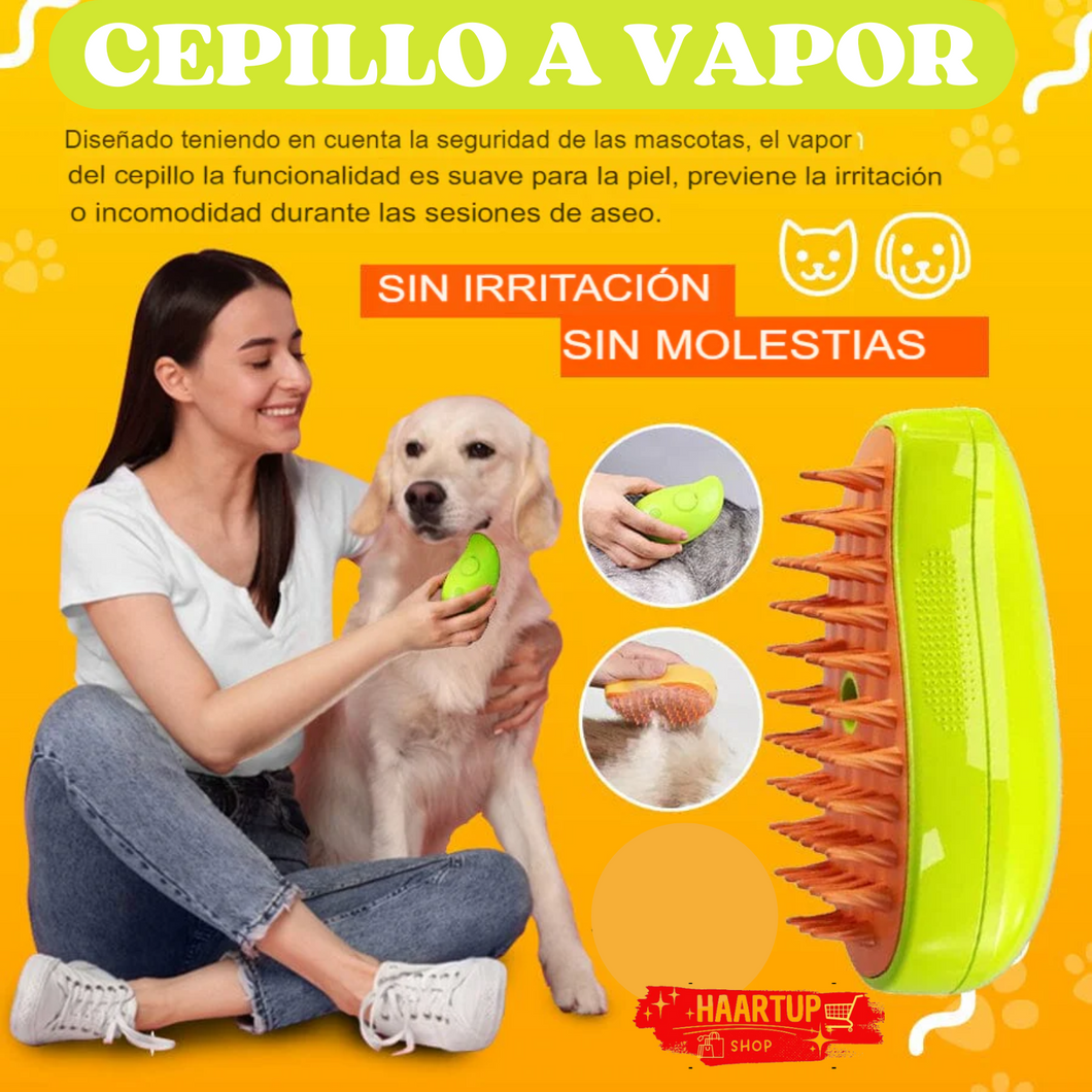 CEPILLO DE VAPOR 3 EN 1 PREMIUM