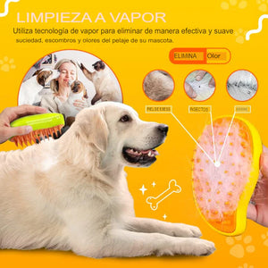 CEPILLO DE VAPOR 3 EN 1 PREMIUM